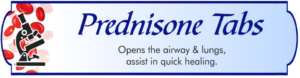 Prednisone Tabs